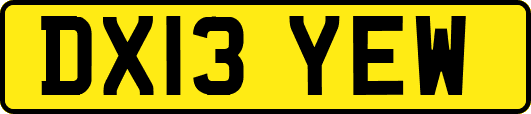 DX13YEW