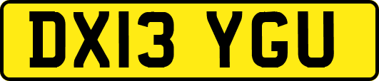 DX13YGU