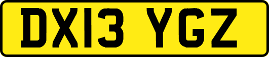DX13YGZ