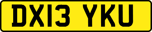 DX13YKU