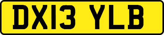 DX13YLB