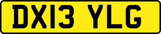 DX13YLG