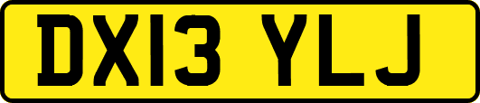 DX13YLJ