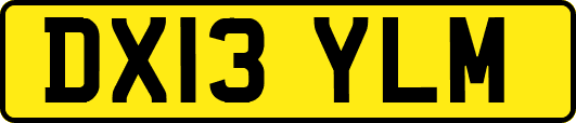 DX13YLM