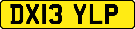 DX13YLP