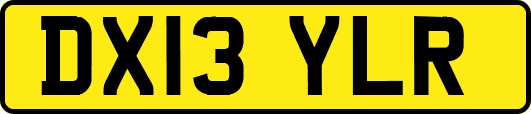 DX13YLR