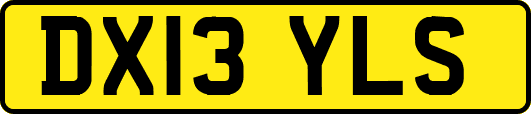 DX13YLS