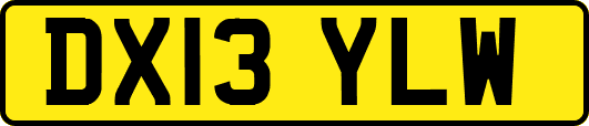 DX13YLW