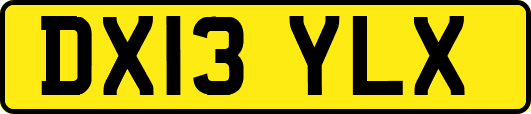 DX13YLX