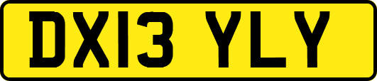 DX13YLY