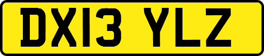 DX13YLZ