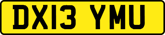 DX13YMU