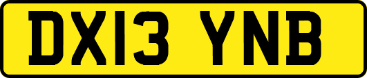 DX13YNB