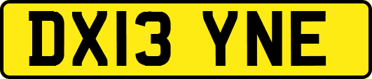 DX13YNE