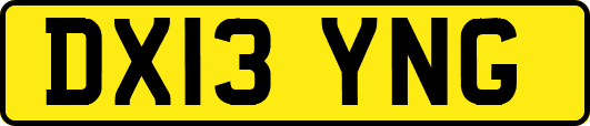 DX13YNG