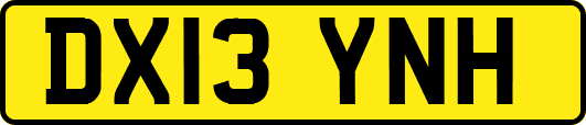 DX13YNH