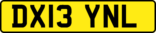 DX13YNL