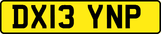 DX13YNP