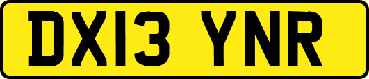 DX13YNR