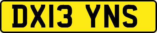 DX13YNS