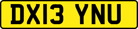 DX13YNU