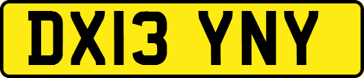 DX13YNY