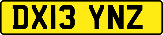 DX13YNZ
