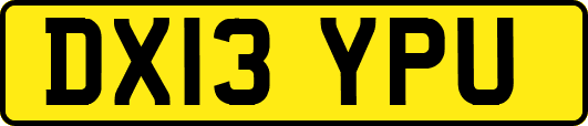 DX13YPU