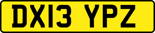 DX13YPZ
