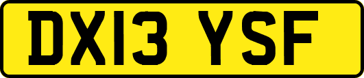 DX13YSF