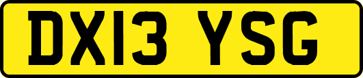 DX13YSG