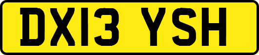DX13YSH