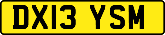 DX13YSM