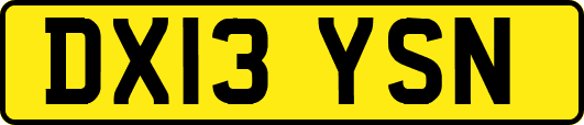 DX13YSN