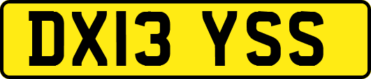 DX13YSS