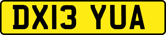 DX13YUA