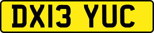 DX13YUC
