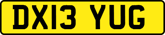 DX13YUG