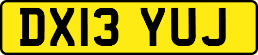 DX13YUJ