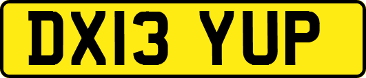 DX13YUP