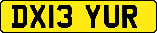 DX13YUR