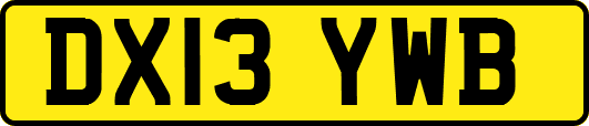 DX13YWB