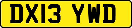 DX13YWD