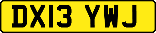 DX13YWJ