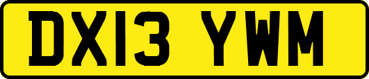 DX13YWM