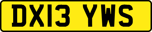 DX13YWS