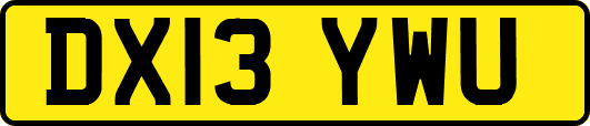 DX13YWU