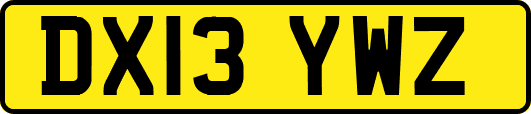 DX13YWZ