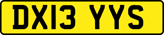 DX13YYS