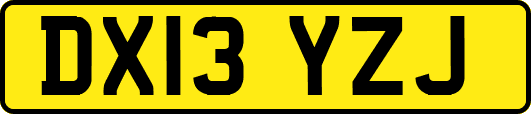 DX13YZJ